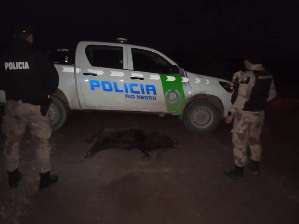 Nuevos operativos en Conesa por caza ilegal. 