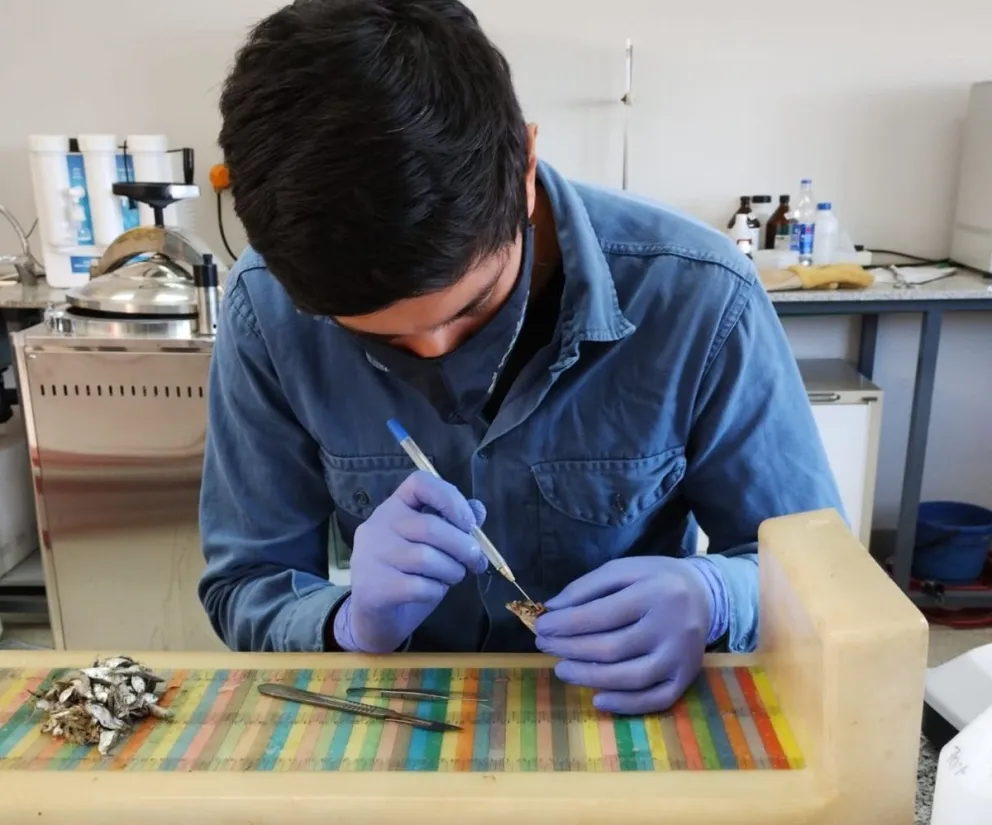 Un estudio clave para la gestión pesquera fue realizado por un egresado de la UNRN.