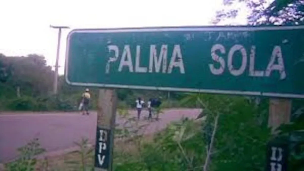 Jujuy: detuvieron a dos hermanos acusados de asesinar a su madre y la ...