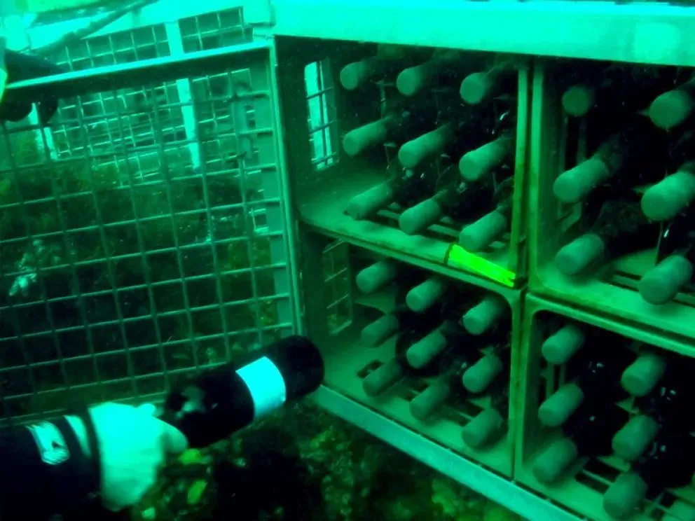 La cava submarina fue la sensación en el cierre de la Fiesta Nacional del Golfo Azul. Foto: Noticiasnqn.