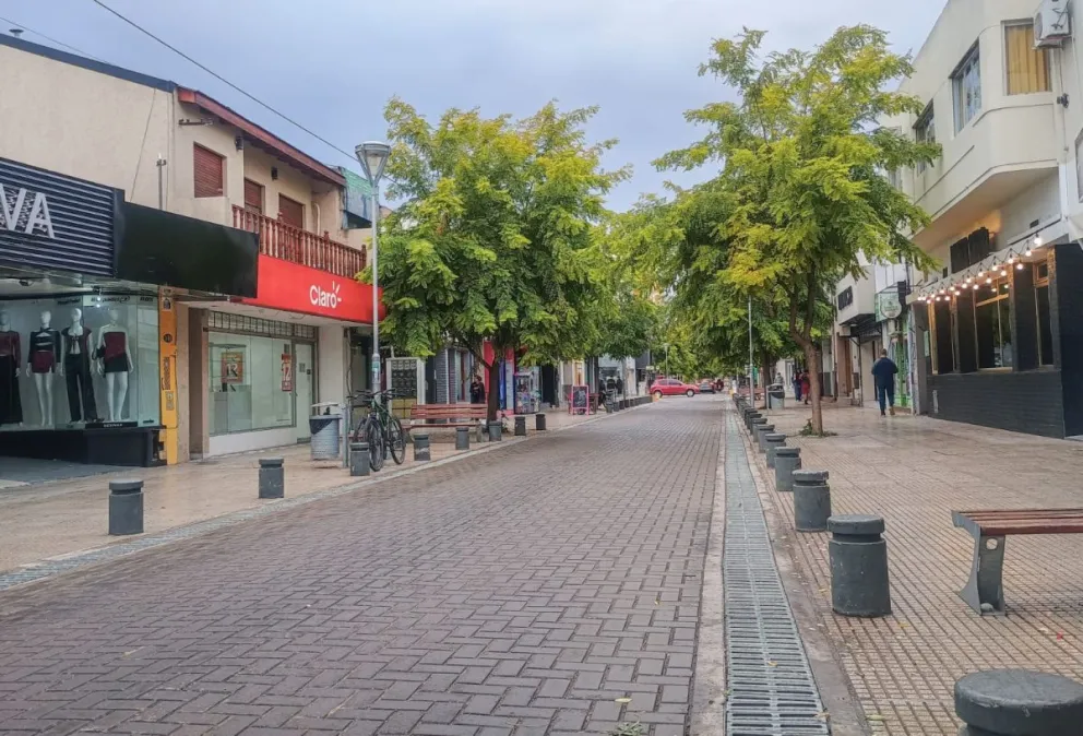 Se instalará en el centro de Viedma. 