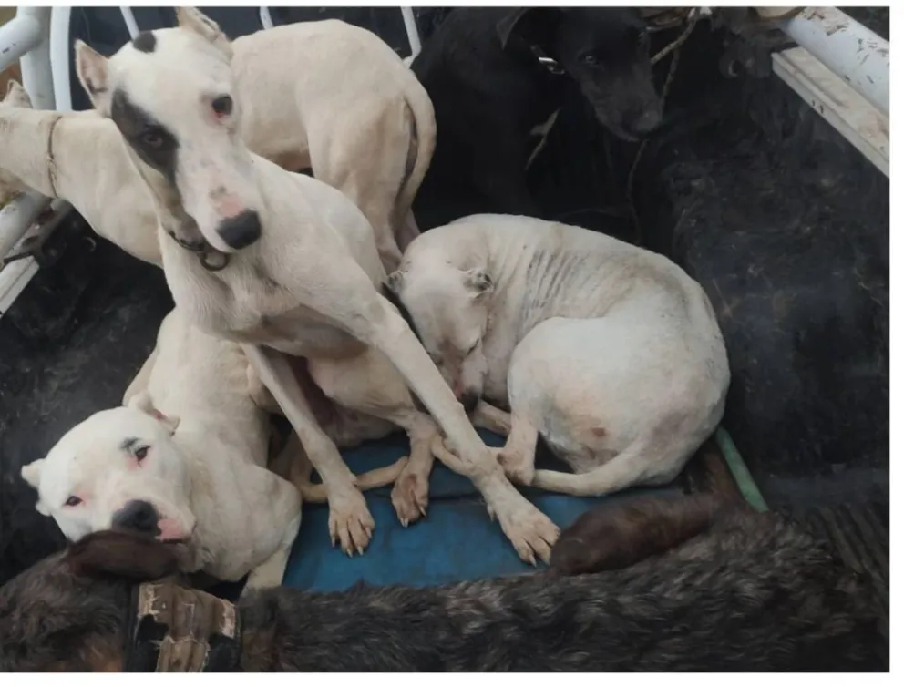 Intensa actividad del Comando de Prevención Rural. 
