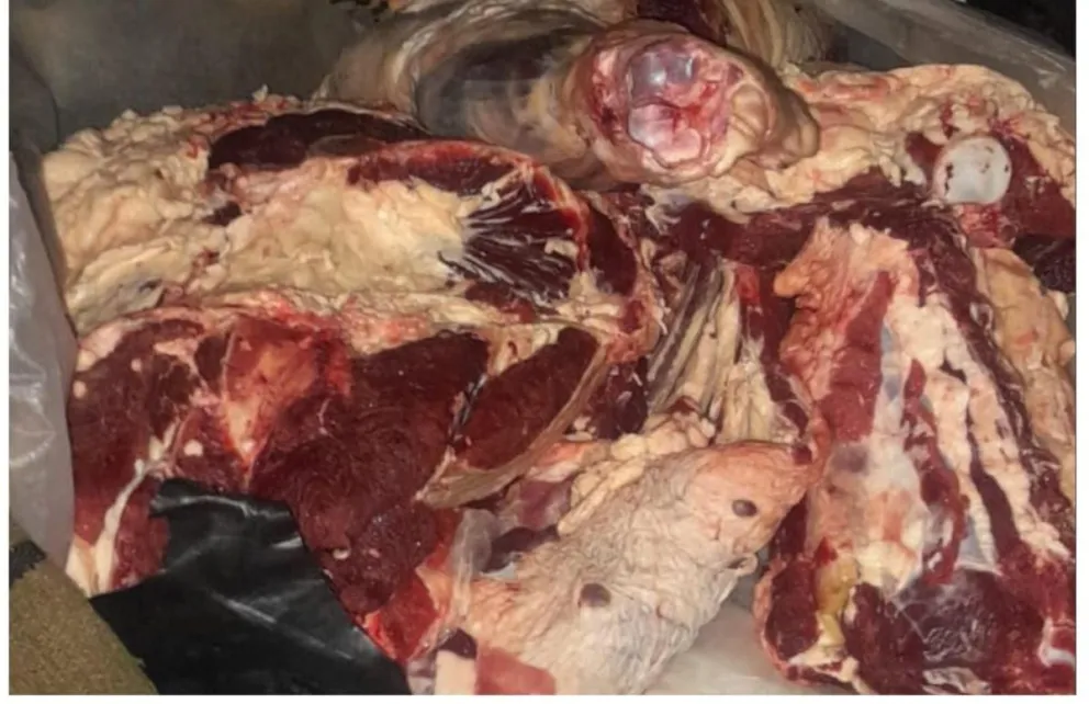 La carne fue decomisada por el personal policial. 