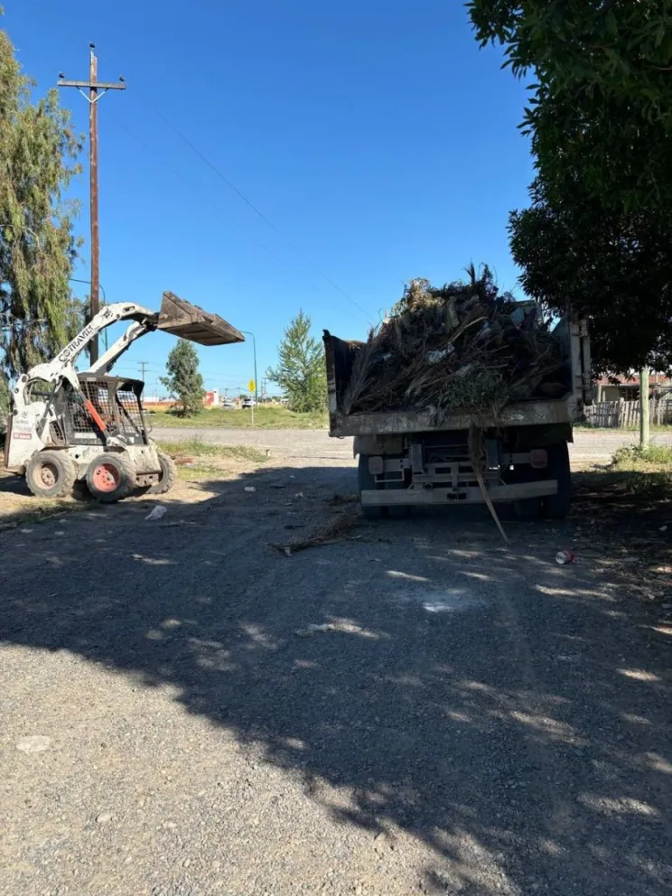 Con el objetivo de intervenir grandes sectores del territorio de la ciudad de forma coordinada. 