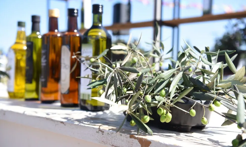 La Ruta del Olivo se convertirá en una atractiva propuesta turística. 