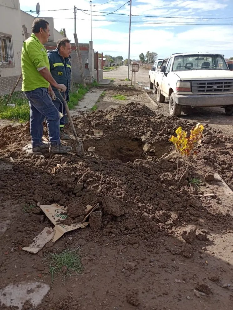 Intervinieron Camuzzi y Bomberos para controlar la situación.