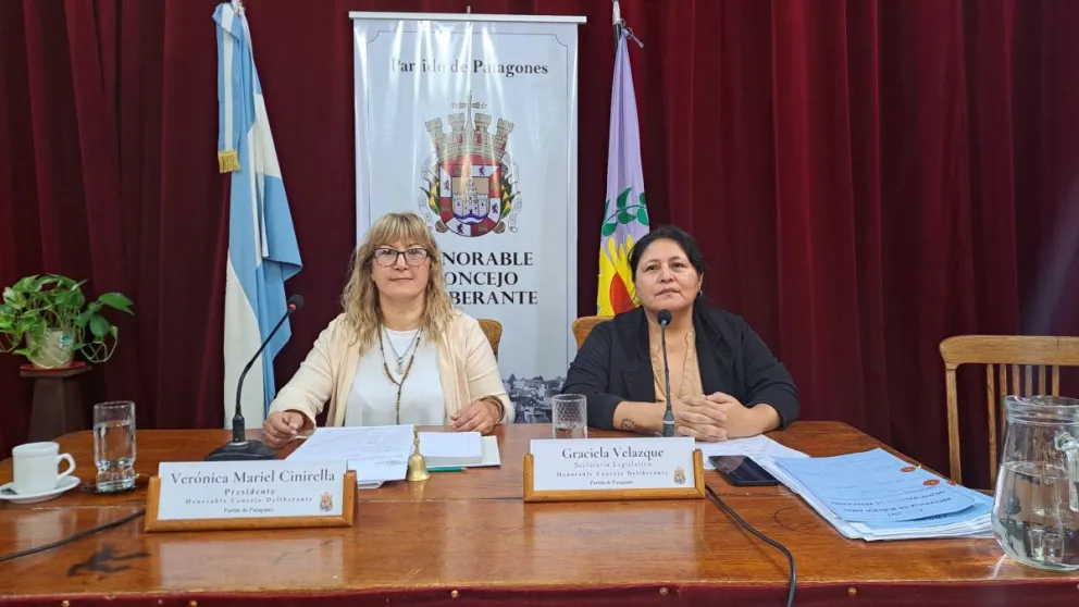 Mariel Cinirella es la actual presidenta del cuerpo. ¿Se va?.