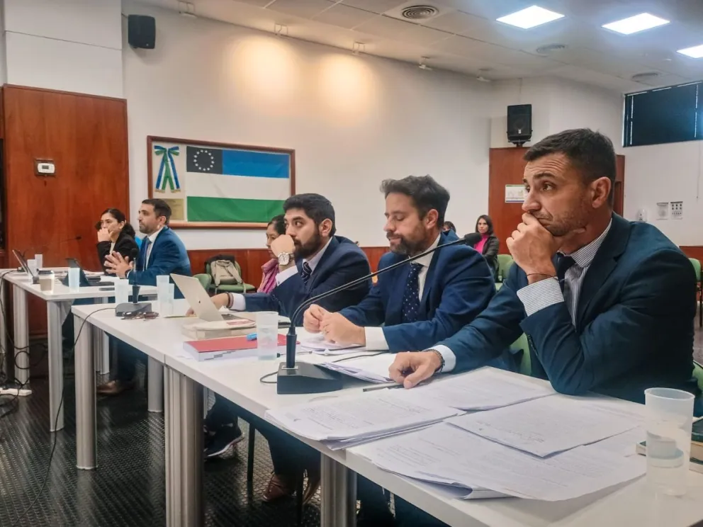 Celina Fuentes Carrizo, de campera rosa, sentada al lado del abogado Santiago Güenumil.