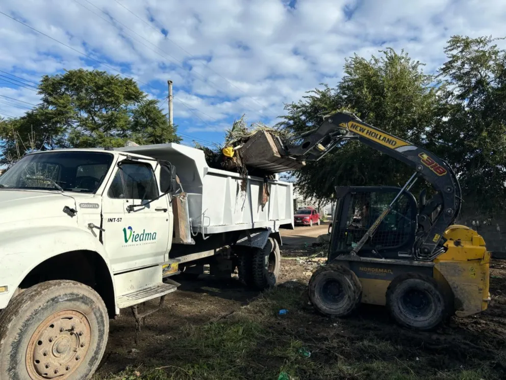 Las tareas incluyen limpieza, mantenimiento de calles y recuperación de espacios públicos.