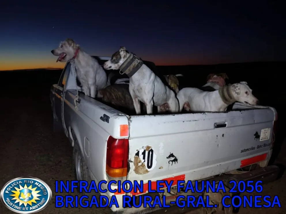 Los cazadores carecían de documentación necesaria para practicar la caza. 