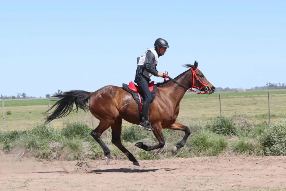 Sergio García, en plena preparación con su yegua Safira