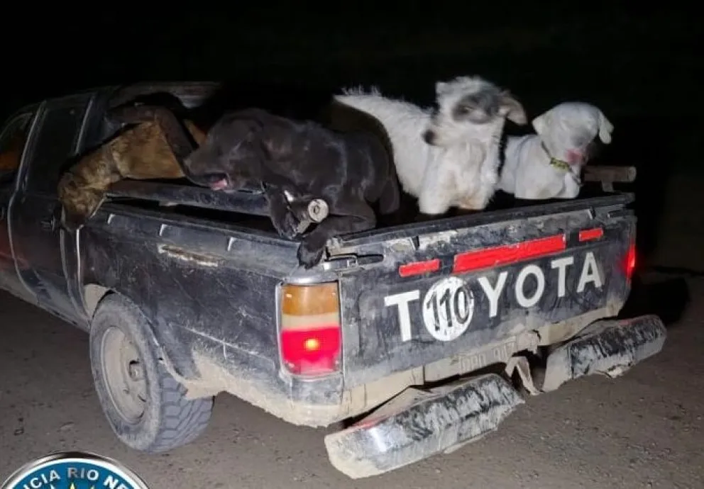 Las infracciones se multiplican en Río Negro por cazadores fuera de la ley