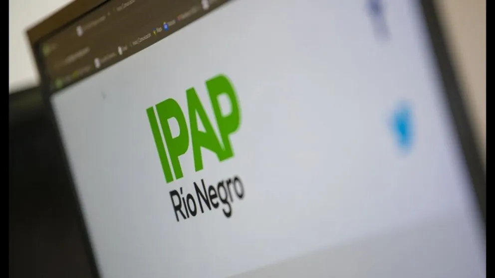 Cursos demandados: relaciones y documentos administrativos, comunicación efectiva, políticas públicas, ley Micaela y toma de decisiones.