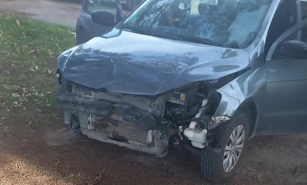 Un nuevo accidente de tránsito tuvo como protagonista a un jabalí. 