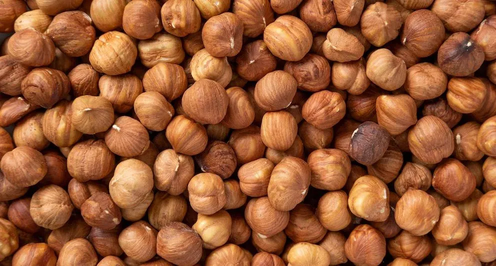 Las avellanas, uno de los motores de la producción de frutos secos en la zona del valle inferior. 