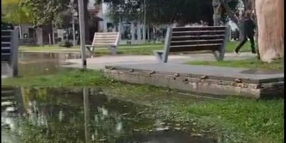 Plaza Alsina de Viedma inundada.