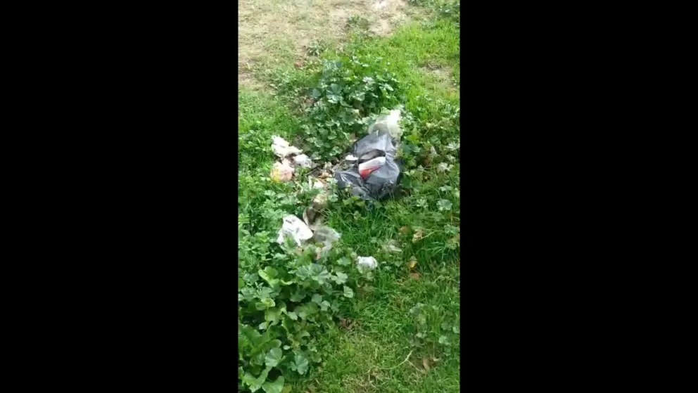 La basura en espacios públicos es uno de los reclamos vecinales. 