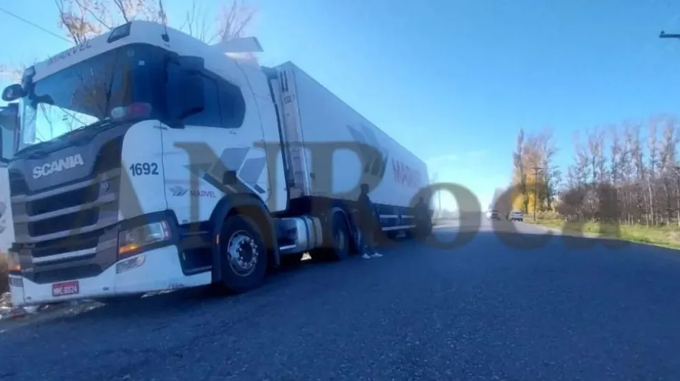 El vehículo había cargado fruta en el Alto Valle y tenía como destino Brasil. (Foto ANRoca)