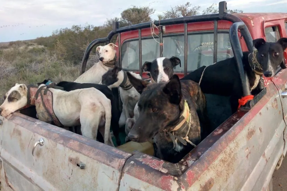 Cazadores de jabalíes en falta en Conesa. 