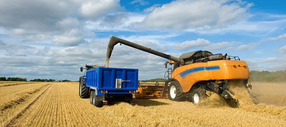 Baja de retenciones al trigo y la cebada.