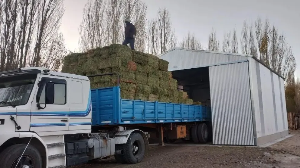 Foto: Gobierno de Río Negro.