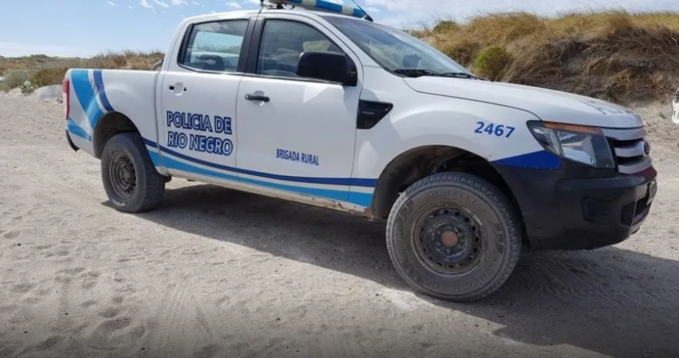 Faena clandestina en un campo de San Antonio Oeste.