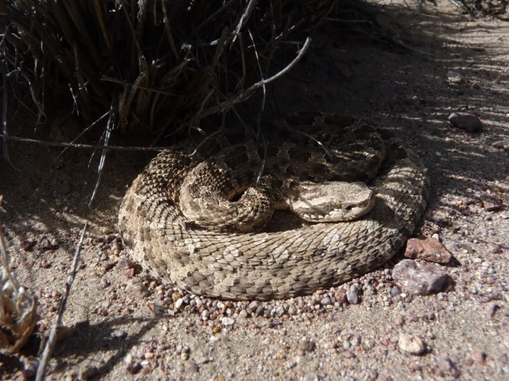 Una guía práctica para prevenir accidentes y actuar correctamente.