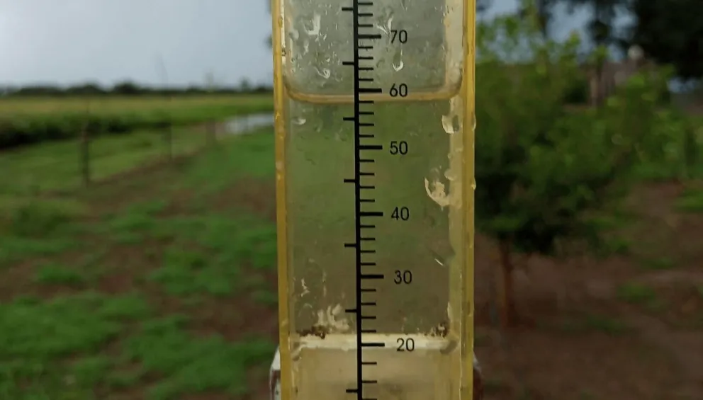 Productores destacan el impacto positivo sobre avena, cebada y centeno.