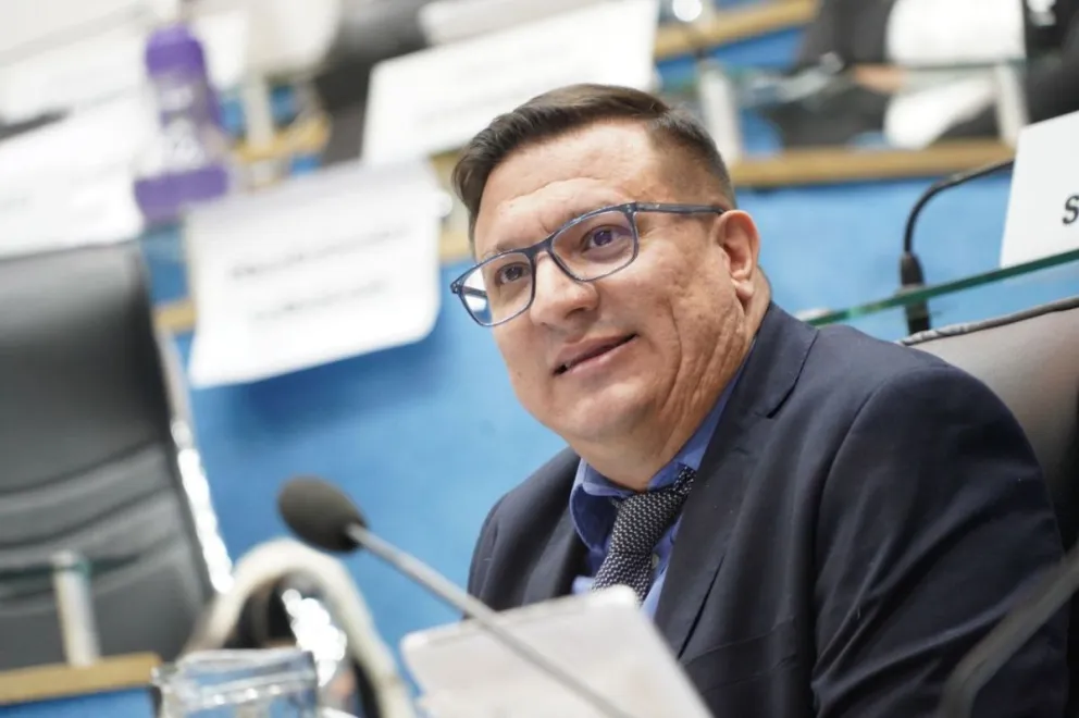  La ley representa una “muestra de carácter y de coraje”, expresó el legislador Lucas Pica (JSRN).