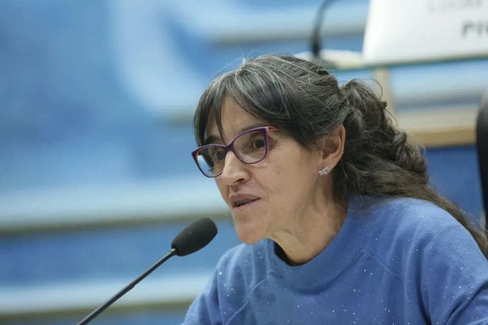 La propuesta fue impulsada por la legisladora Maricel Cévoli (JSRN): 