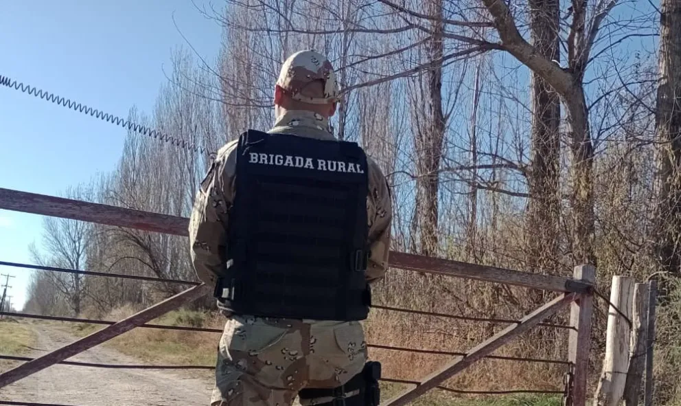 El jabalí fue enviado a destrucción.