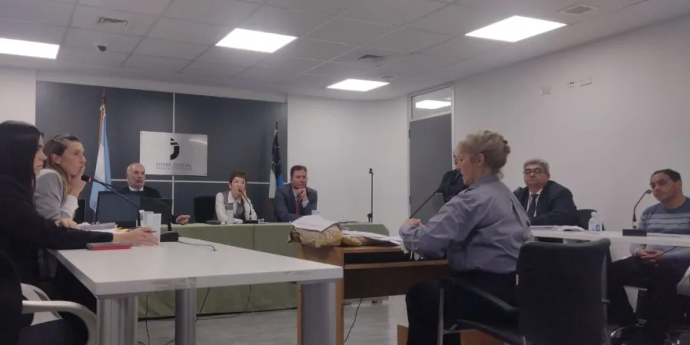 Declaración de la experta en Odorología, Claudia Castro durante el juicio a Herrera Saez.