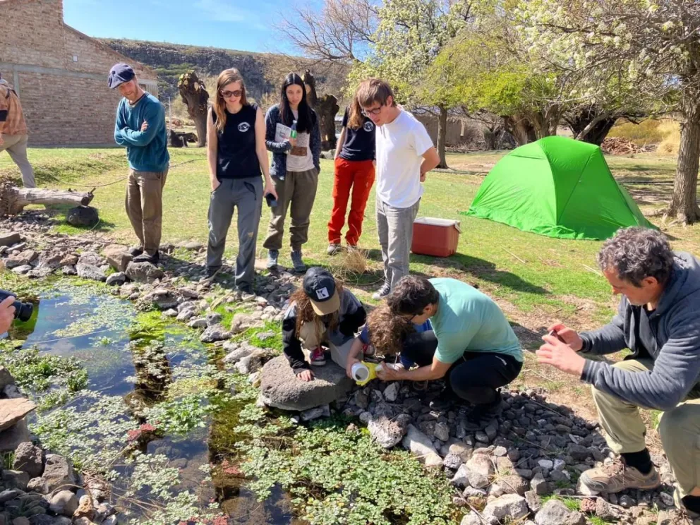 Un ambicioso proyecto busca revertir su estado crítico.