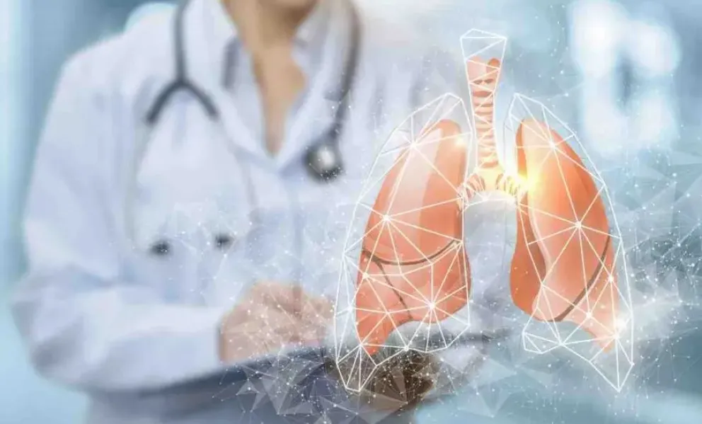 La hidatidosis afecta principalmente al hígado y los pulmones.