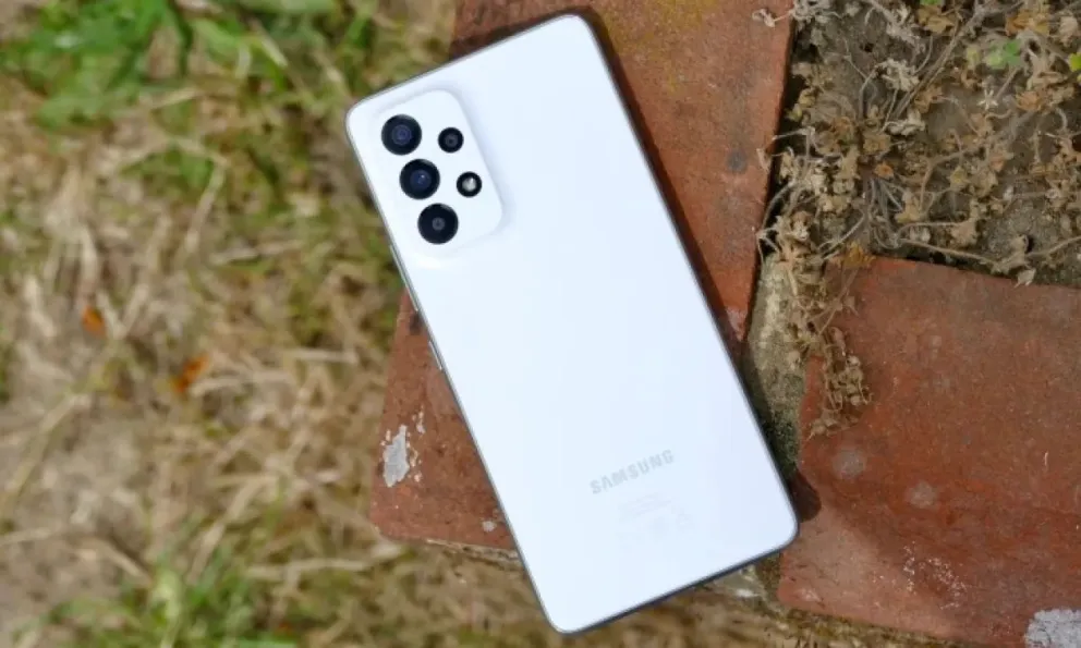 Padre e hijo devolvieron el celular que perdió una vecina de la Comarca.