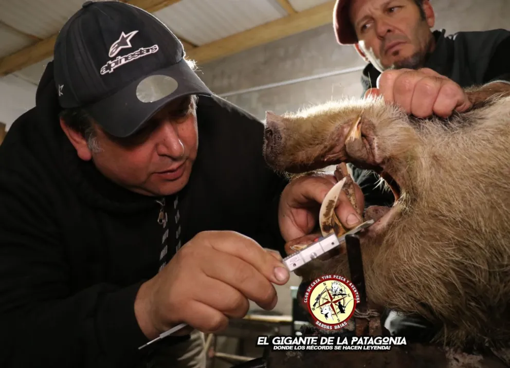 El torneo atrajo cazadores de la Argentina y del extranjero.