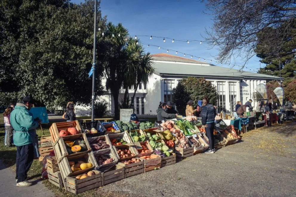 Todo sano. Fotos de Vanesa Schwemmler para NoticiasNet.