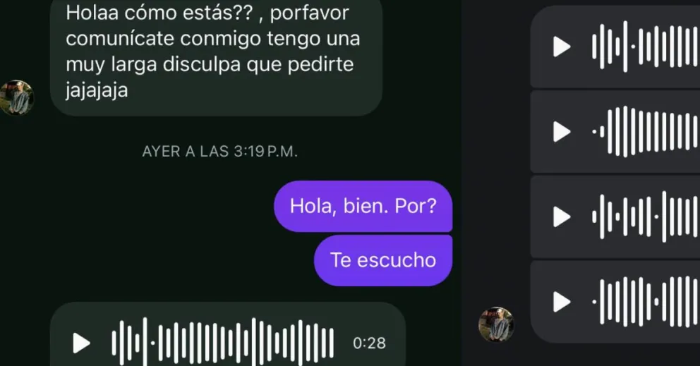 Los mensajes del pedidos de disculpas polémico.