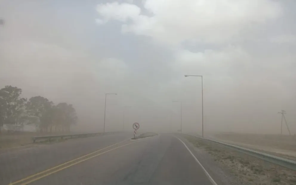 Las autoridades solicitaron a los vecinos asegurar objetos y evitar zonas arboladas.