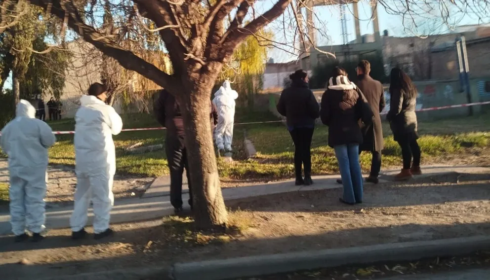 Trabajan en la avenida Giachino de Viedma. Fotos Gentileza y Vanesa Schwemmler/ NoticiasNet. 