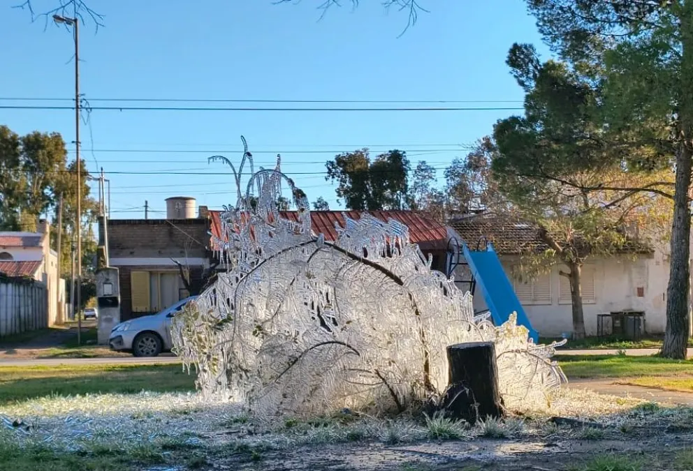 La plaza del barrio Santa Clara mostró una llamativa imagen. Fotos:  Vanesa Schwemmler y gentileza de vecinos.