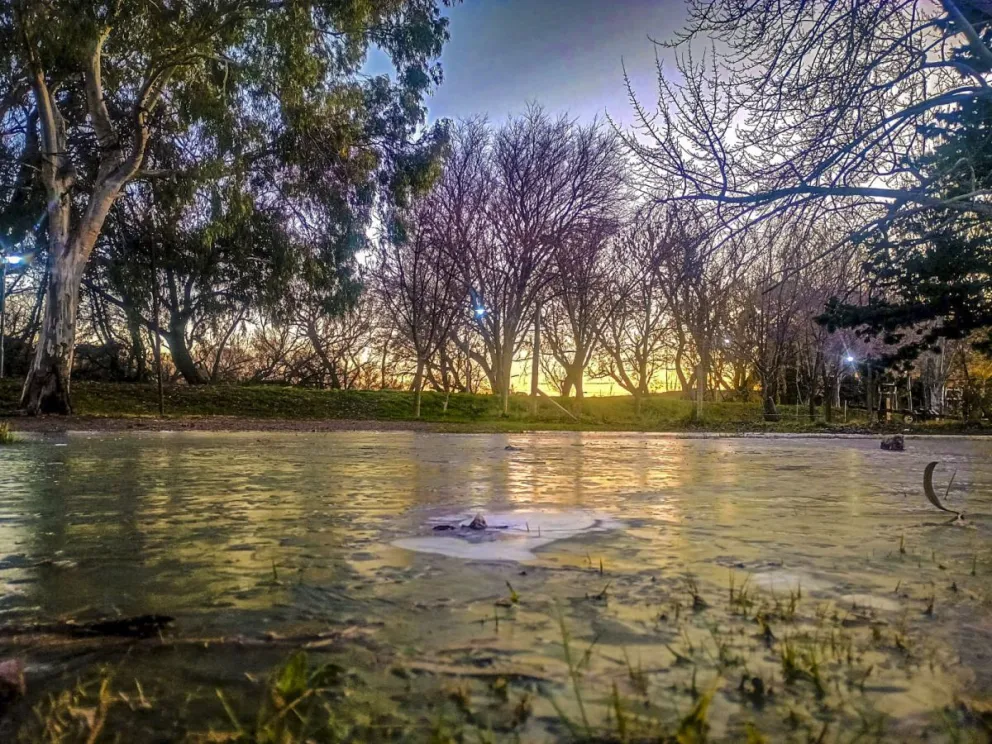 No se esperan heladas ni temperaturas bajo cero para este jueves 3 (Foto: Vanesa Schwemmler)