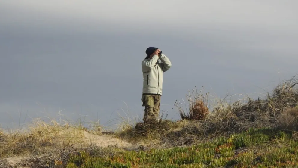 Secretaría de Ambiente y Cambio Climático de Río Negro lleva adelante un censo periódico de aves.