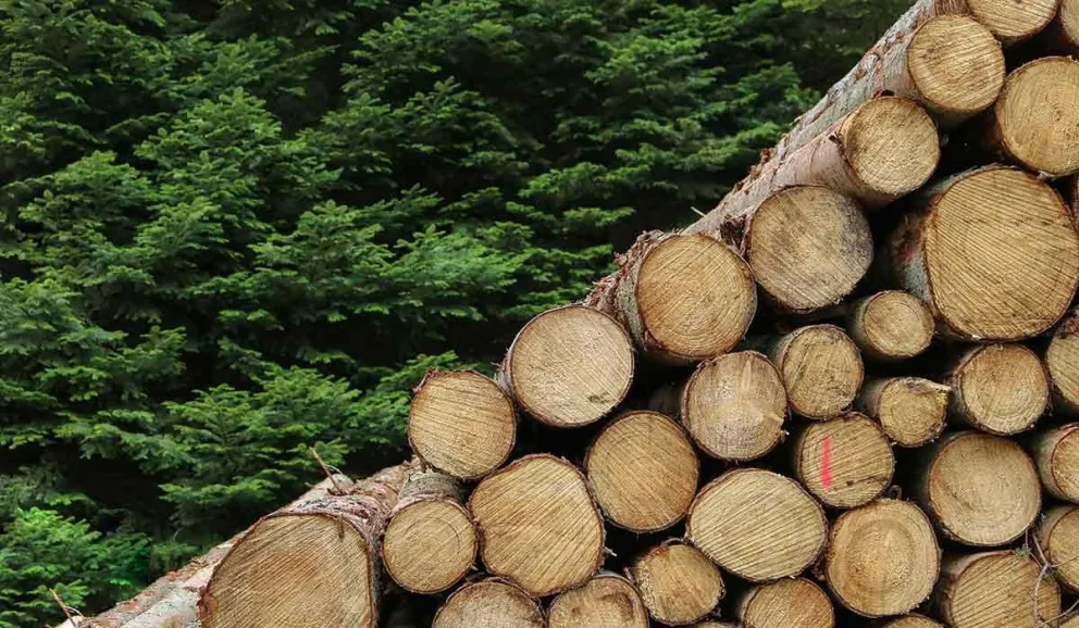 El Gobierno Provincial lanzó nuevas líneas de financiamiento destinadas al sector.