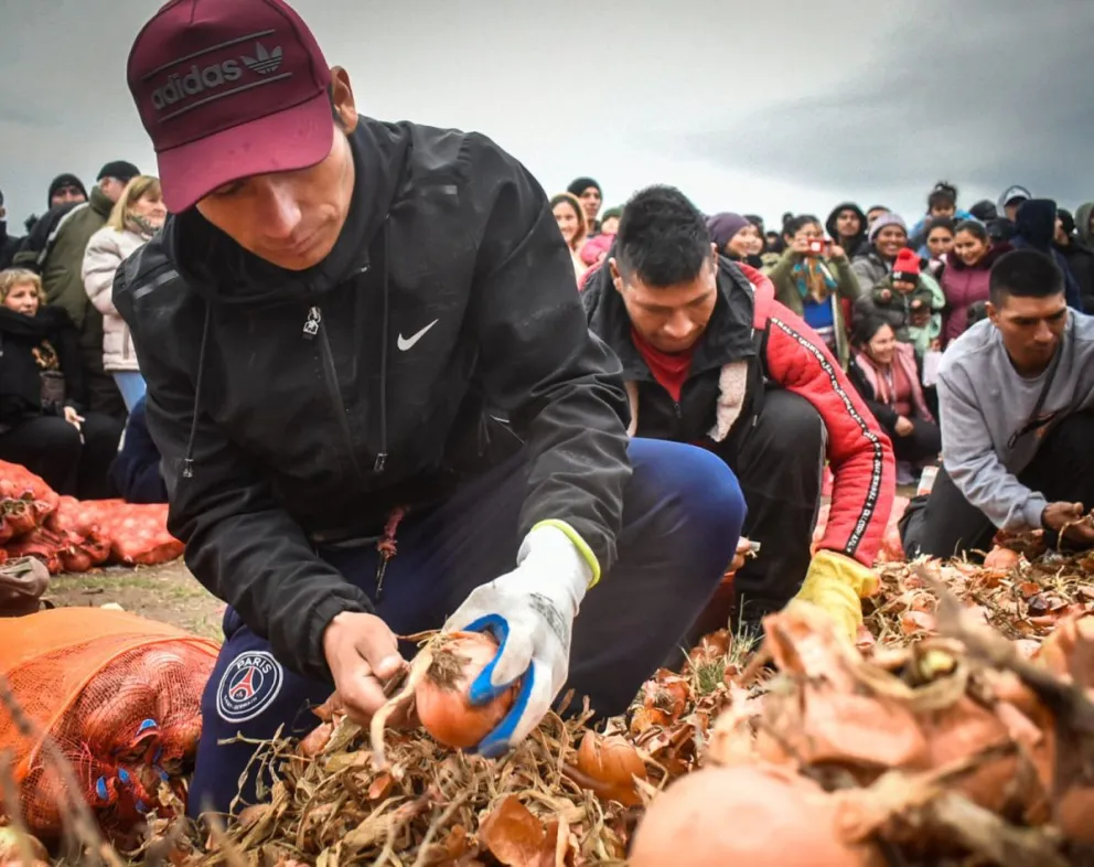 Numeroso público siguió a los cosecheros. Imágenes Vanesa Schwemmler para NoticiasNet.