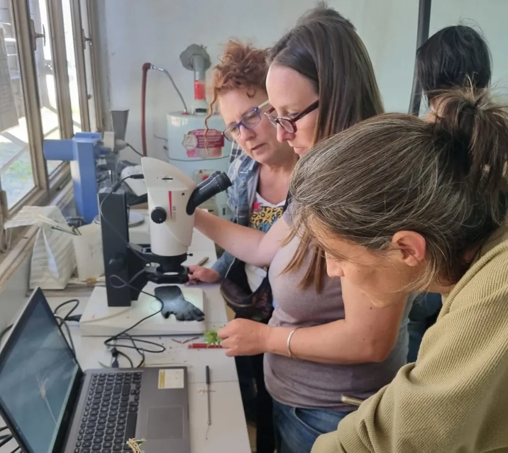 Los alumnos de primer año en una cursada. 