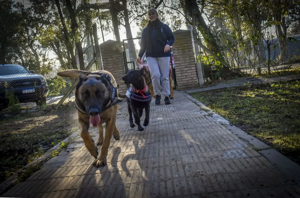 El equipo de odorología han descubierto pistas claves en investigaciones criminales. Fotos Vanesa Schwemmler / NoticiasNet y Gentileza Claudia Castro. 