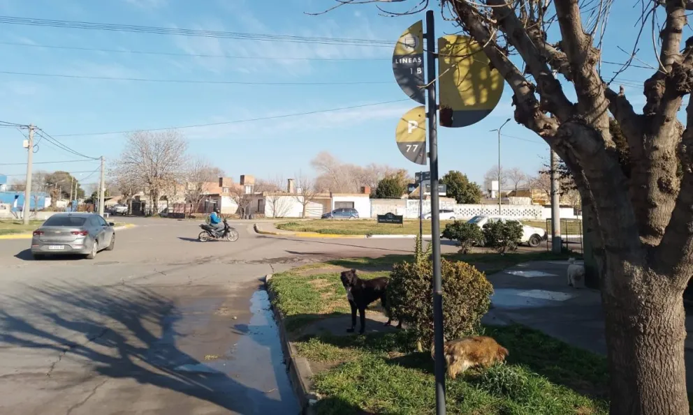 La cartelería genera confusión en automovilistas, pero también en peatones. 