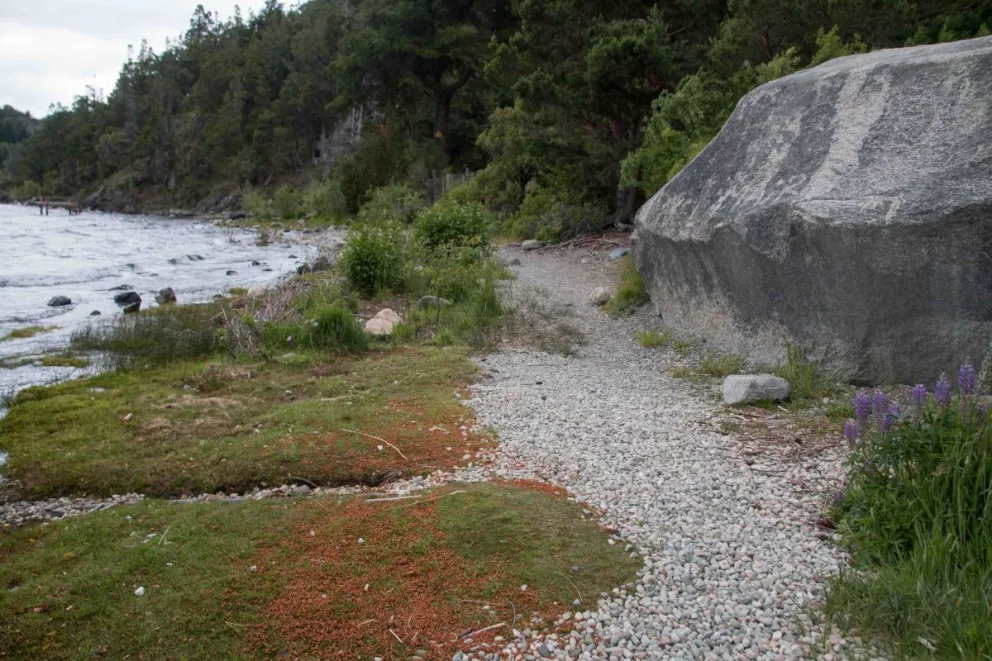 Sendero en zona oeste de Bariloche, lago Moreno 