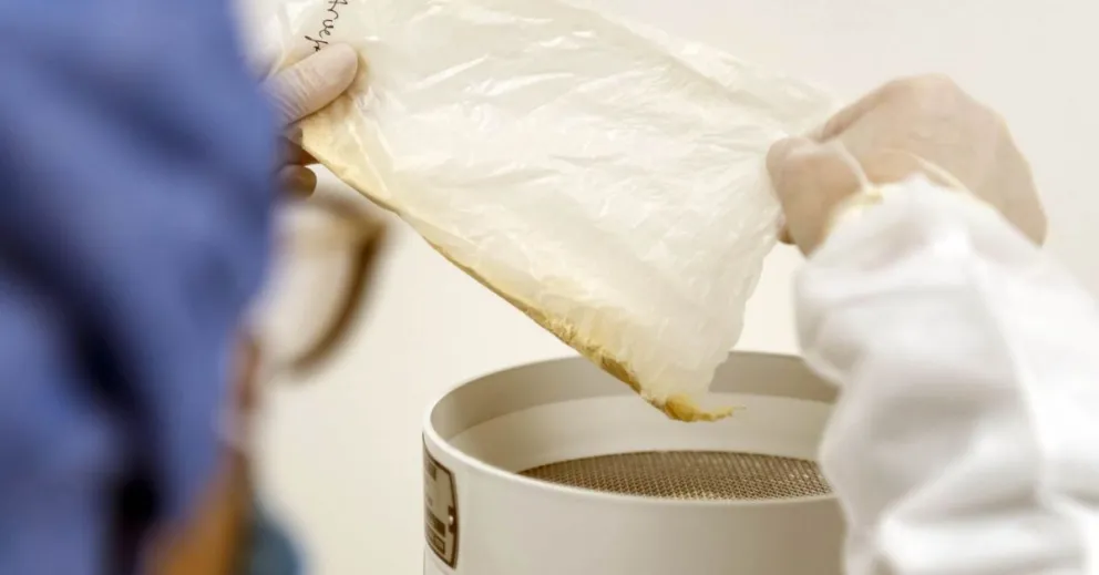 Avellana Pro Max es un suplemento dietario a base de proteínas vegetales.